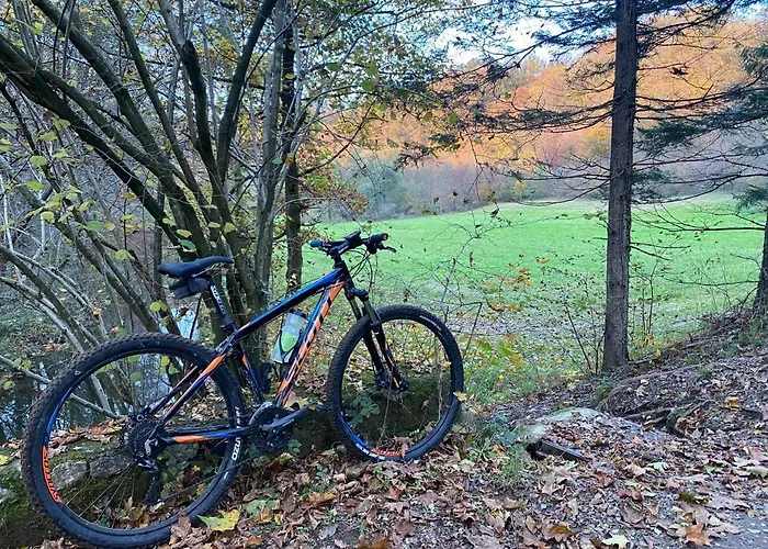 Impero Beauty & - Bike 3* Cantello